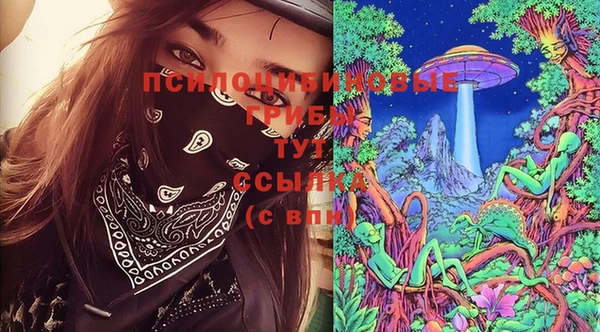стафф Абдулино