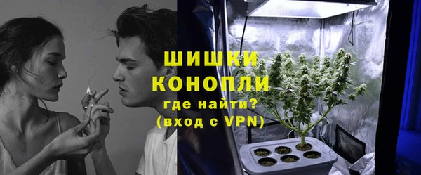 прущие грибы Аксай